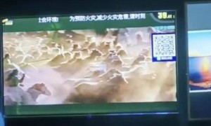 4人喝100瓶酒，1人呕吐时坠亡，KTV被判赔48万